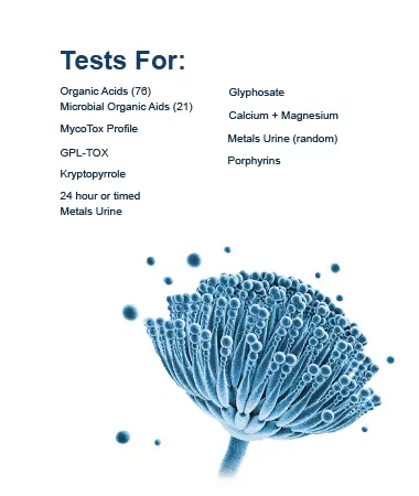 Test for Mold